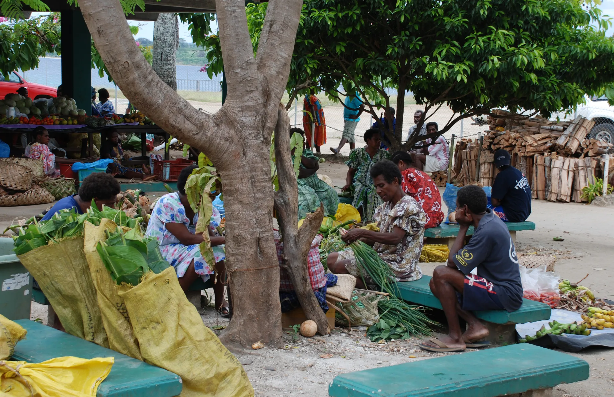 Vendors with produce and firewood under a shade tree at Port Vila market