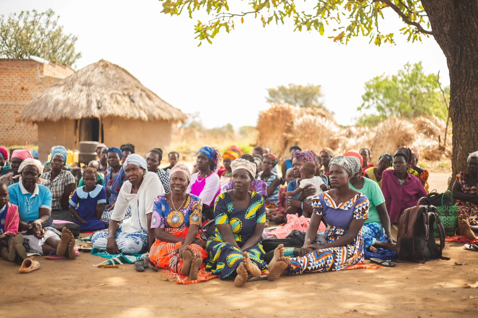 A village gathering seated under a tree beside a thatched hut